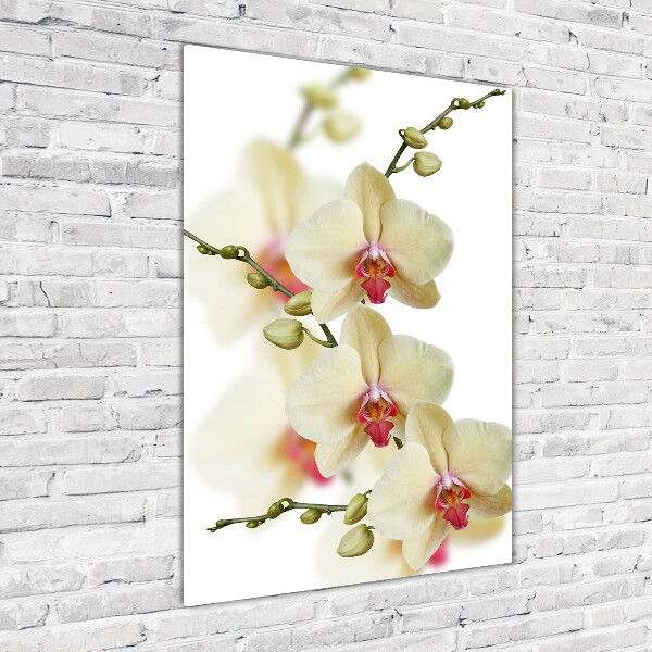 Quadro vetro acrilico verticale Orchidea