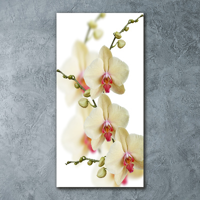 Quadro vetro acrilico verticale Orchidea