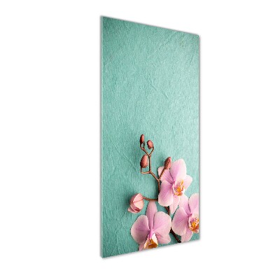 Quadro in vetro acrilico verticale Orchidea rosa