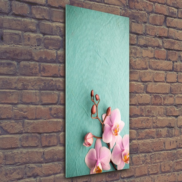 Quadro in vetro acrilico verticale Orchidea rosa