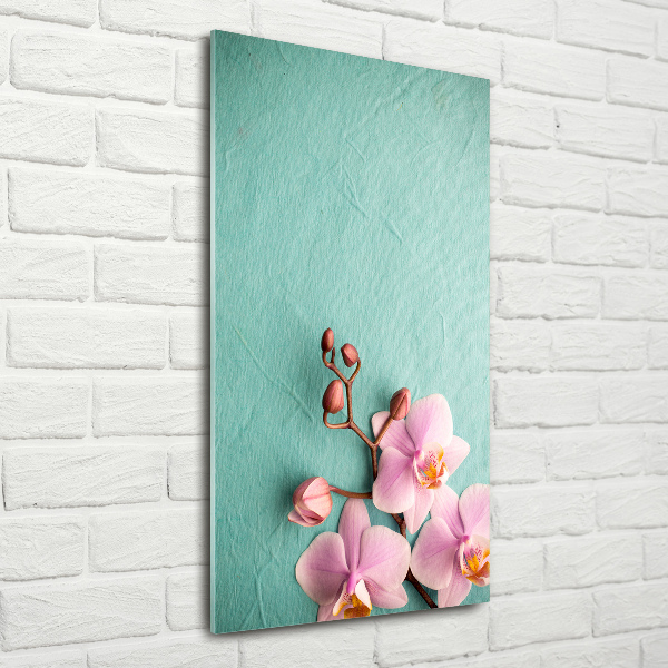 Quadro in vetro acrilico verticale Orchidea rosa