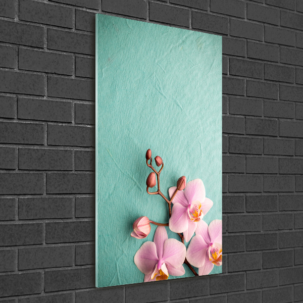 Quadro in vetro acrilico verticale Orchidea rosa