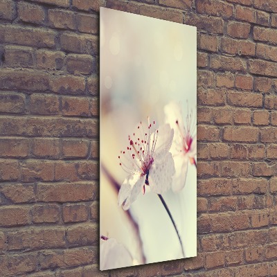Quadro acrilico verticale Fiori di ciliegio