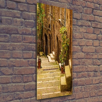 Quadro acrilico verticale Strade italiane