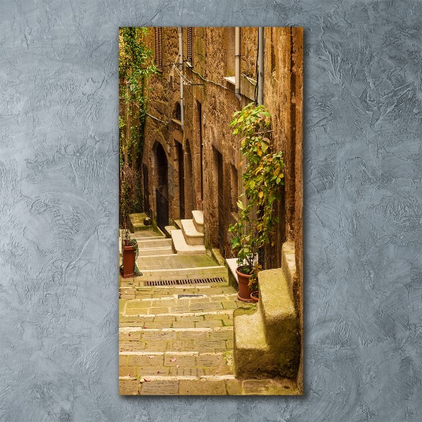 Quadro acrilico verticale Strade italiane