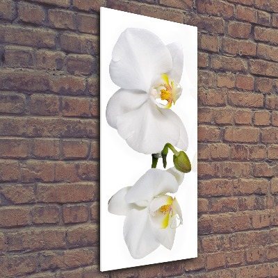 Quadro acrilico verticale Orchidea bianca