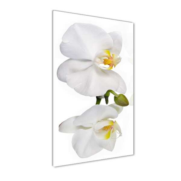 Quadro acrilico verticale Orchidea bianca