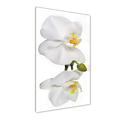 Quadro acrilico verticale Orchidea bianca
