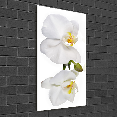 Quadro acrilico verticale Orchidea bianca