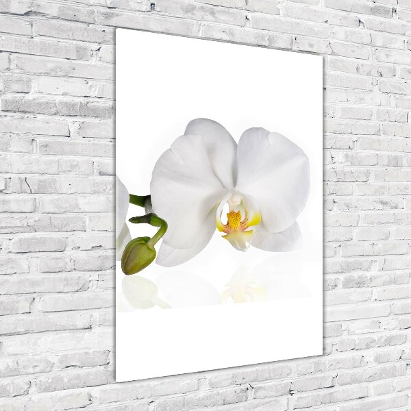 Quadro acrilico verticale Orchidea bianca
