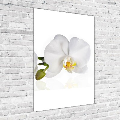 Quadro acrilico verticale Orchidea bianca