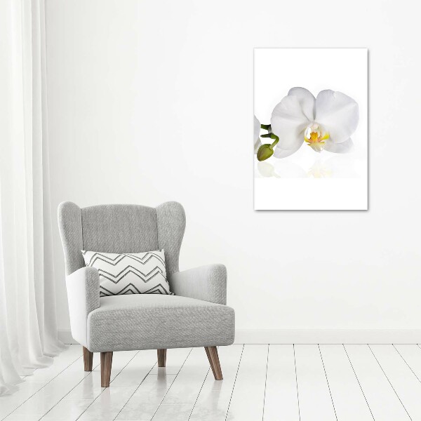 Quadro acrilico verticale Orchidea bianca
