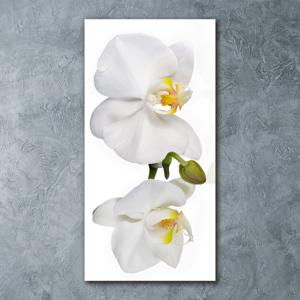 Quadro acrilico verticale Orchidea bianca