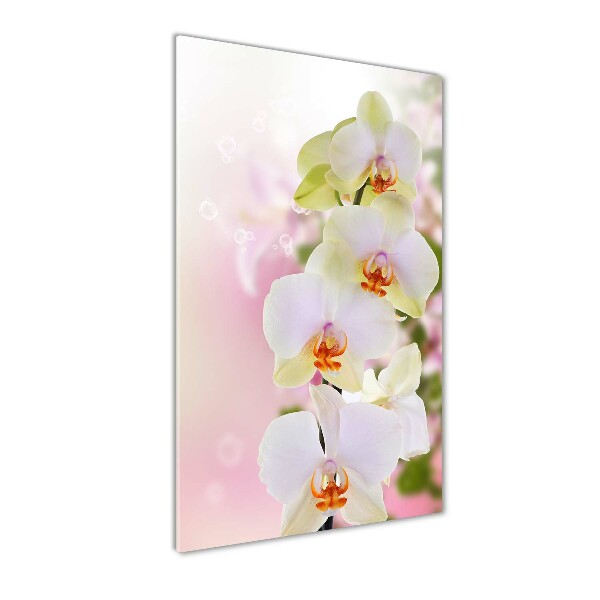Quadro vetro acrilico verticale Orchidea bianca