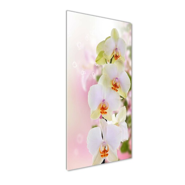Quadro vetro acrilico verticale Orchidea bianca