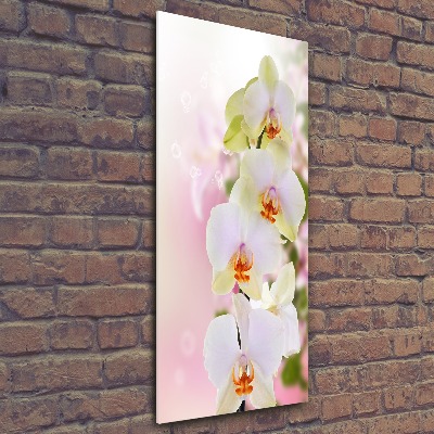 Quadro vetro acrilico verticale Orchidea bianca