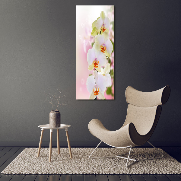 Quadro vetro acrilico verticale Orchidea bianca