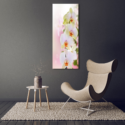 Quadro vetro acrilico verticale Orchidea bianca