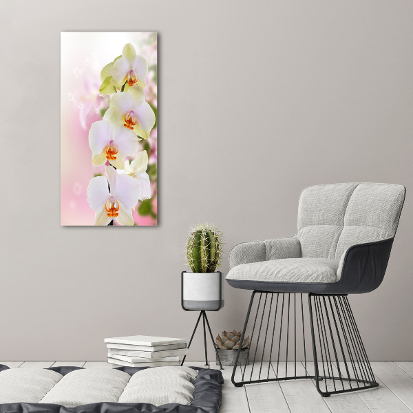 Quadro vetro acrilico verticale Orchidea bianca