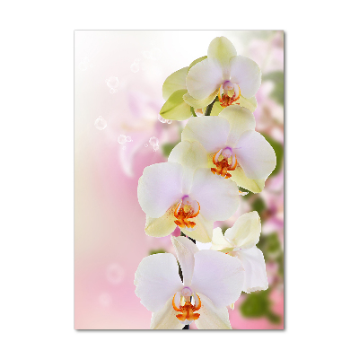 Quadro vetro acrilico verticale Orchidea bianca