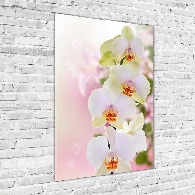 Quadro vetro acrilico verticale Orchidea bianca