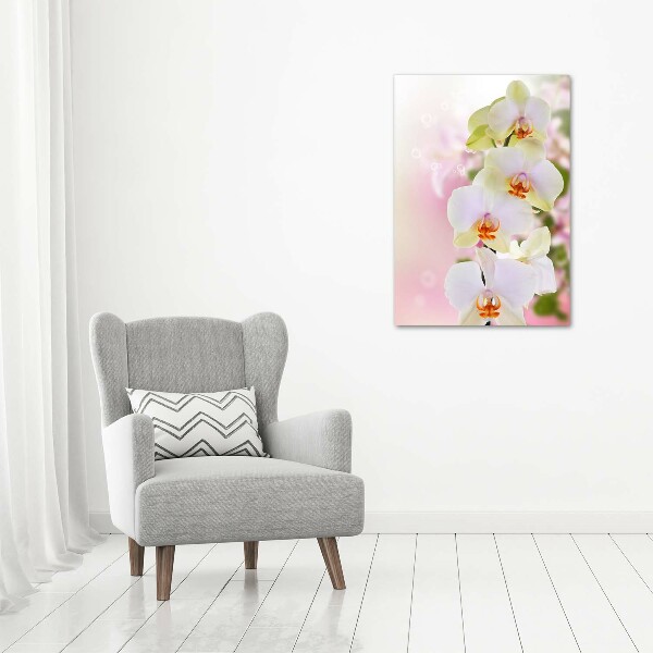 Quadro vetro acrilico verticale Orchidea bianca