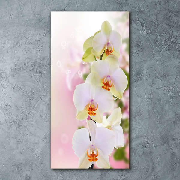 Quadro vetro acrilico verticale Orchidea bianca