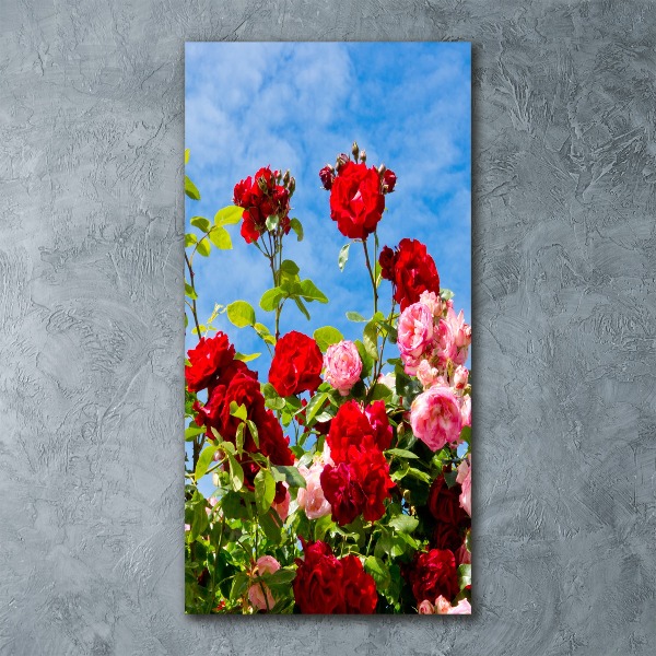 Quadro in vetro acrilico verticale Rovo