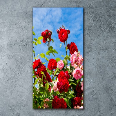 Quadro in vetro acrilico verticale Rovo