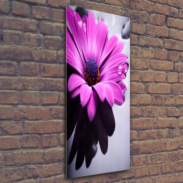Quadro acrilico verticale Gerbera rosa