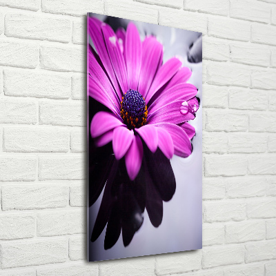 Quadro acrilico verticale Gerbera rosa