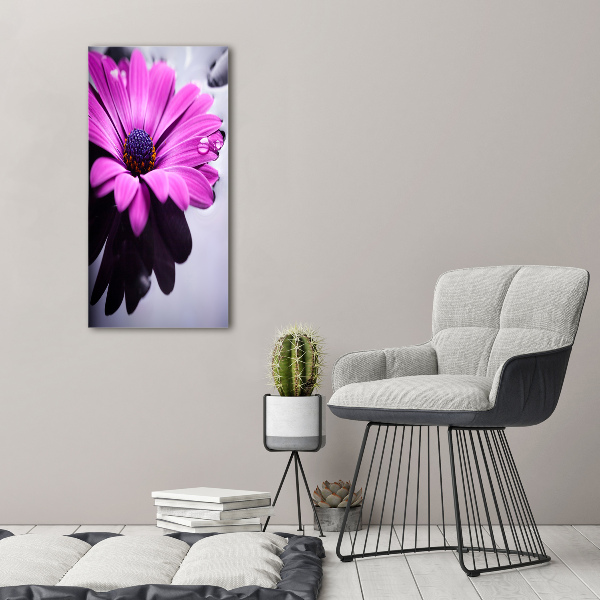 Quadro acrilico verticale Gerbera rosa