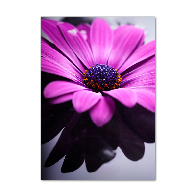 Quadro acrilico verticale Gerbera rosa