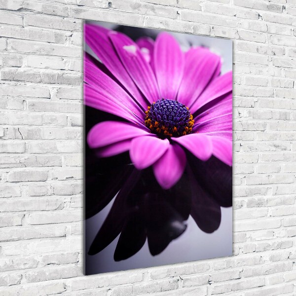 Quadro acrilico verticale Gerbera rosa