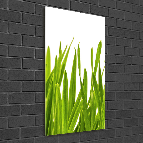 Quadro vetro acrilico verticale Erba verde