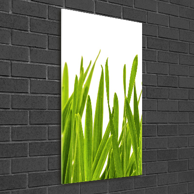 Quadro vetro acrilico verticale Erba verde