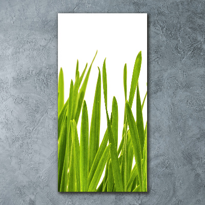 Quadro vetro acrilico verticale Erba verde