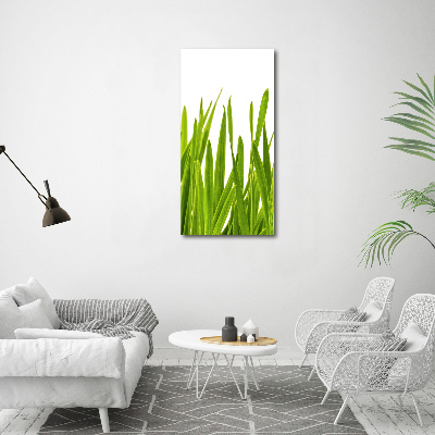 Quadro vetro acrilico verticale Erba verde