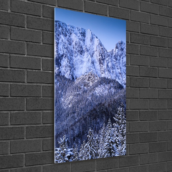 Quadro acrilico verticale Giewont, Monti Tatra