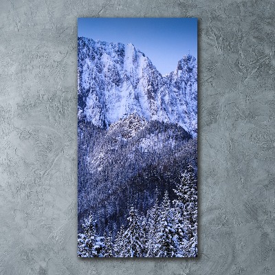 Quadro acrilico verticale Giewont, Monti Tatra