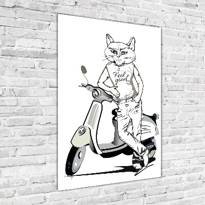 Quadro in vetro acrilico verticale Uomo Gatto