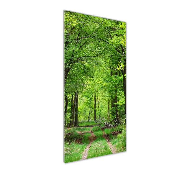 Quadro stampa su vetro acrilico verticale Foresta verde