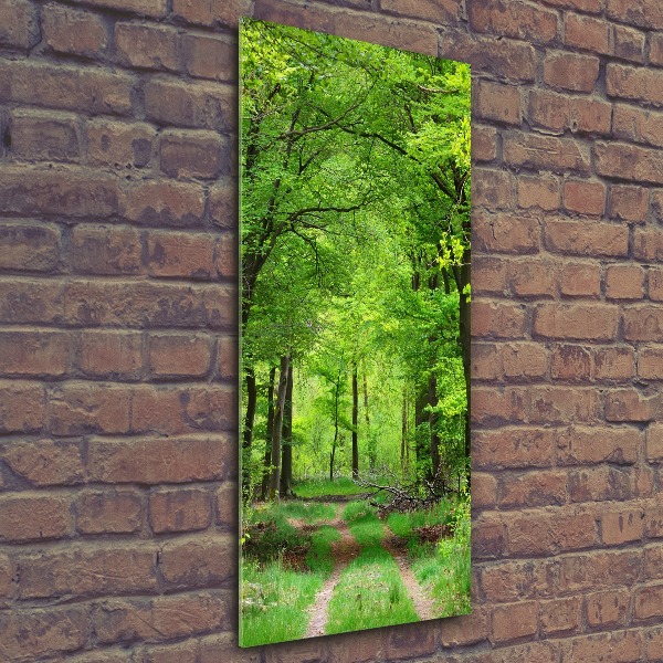 Quadro stampa su vetro acrilico verticale Foresta verde