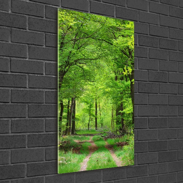 Quadro stampa su vetro acrilico verticale Foresta verde