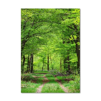 Quadro stampa su vetro acrilico verticale Foresta verde