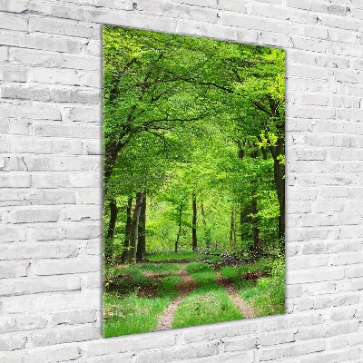 Quadro stampa su vetro acrilico verticale Foresta verde
