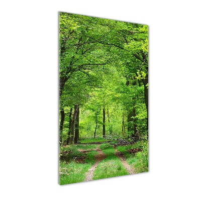 Quadro stampa su vetro acrilico verticale Foresta verde