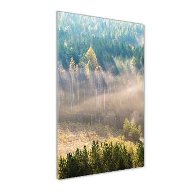 Quadro vetro acrilico verticale Nebbia sulla foresta