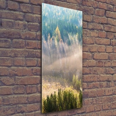 Quadro vetro acrilico verticale Nebbia sulla foresta