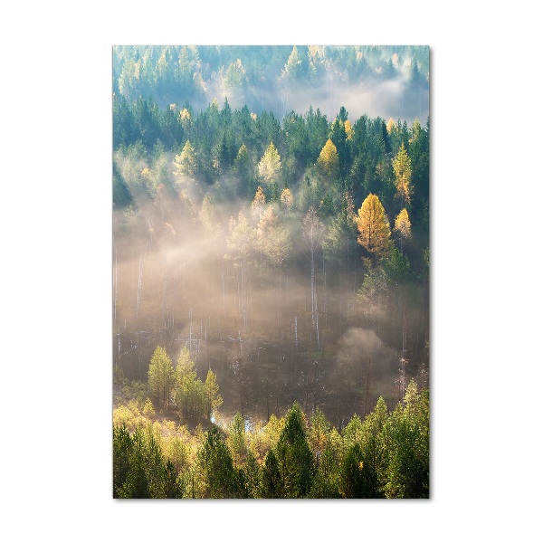 Quadro vetro acrilico verticale Nebbia sulla foresta